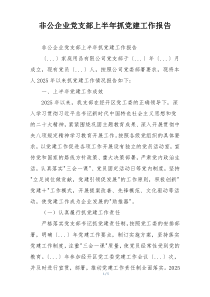 非公企业党支部上半年抓党建工作报告