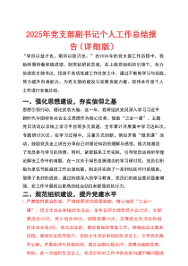 2025 年党支部副书记个人工作总结报告（新编）