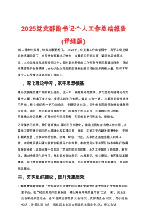 2025党支部副书记个人工作总结报告
