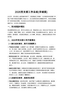 2025党支部工作总结（新编详尽）