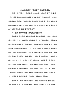 2025年学习教育“回头看”自查情况报告 6篇（精选版）