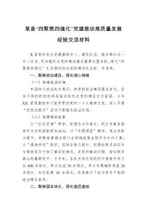 某县四聚焦四强化党建推动高质量发展经验交流材料
