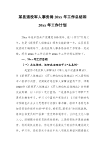 某县退役军人事务局20XX年工作总结和20XX年工作计划