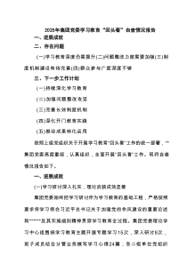 2025年集团党委学习教育“回头看”自查情况报告（有6篇）