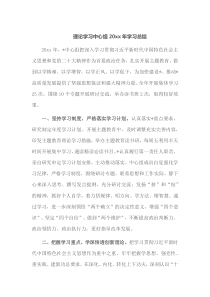 理论学习中心组20XX年学习总结