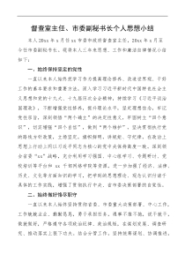 督查室主任市委副秘书长个人思想小结