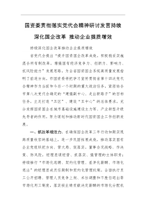 研讨发言国资委贯彻落实党代会精神研讨发言持续深化国企改革推动企业提质增效