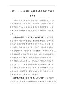 经验交流10篇乡镇领导班子建设工作经验材料范文