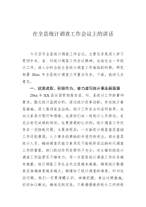 在全县统计调查工作会议上的讲话