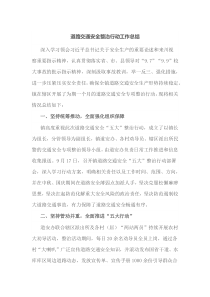 道路交通安全整治行动工作总结