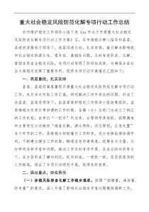重大社会稳定风险防范化解专项行动工作总结