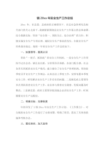 镇20XX年安全生产工作总结