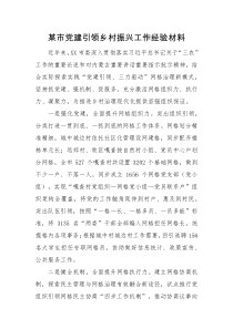 经验材料某市党建引领乡村振兴工作经验材料