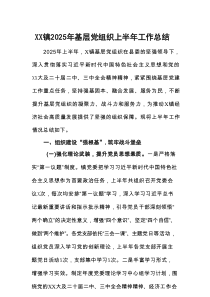 XX镇2025年基层党组织上半年工作总结