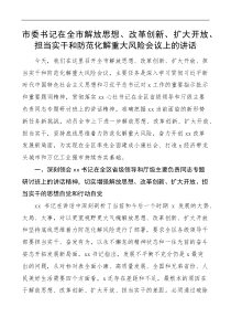 在全市解放思想改革创新扩大开放担当实干和防范化解重大风险会议上的讲话
