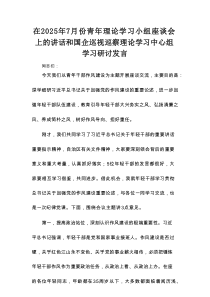 在2025年7月份青年理论学习小组座谈会上的讲话和国企巡视巡察理论学习中心组学习研讨发言