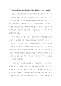 在生态环境保护督察典型案例整改现场推进会议上的讲话
