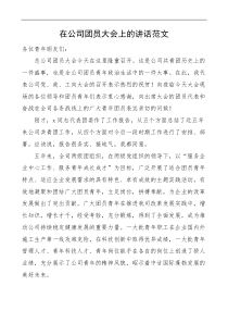 在公司团员大会上的讲话范文集团企业共青团