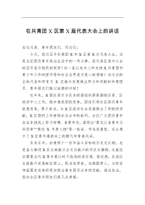 在共青团X区第X届代表大会上的讲话