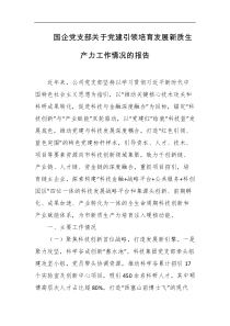 国企党支部关于党建引领培育发展新质生产力工作情况的报告