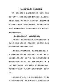2024年教育局统计工作总结精编(2篇)