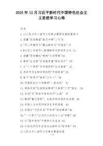 2025年12月习近平新时代中国特色社会主义思想学习心得