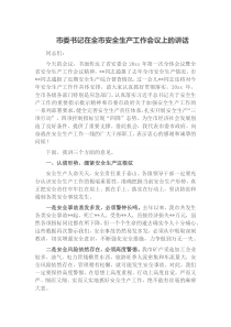 市委书记在全市安全生产工作会议上的讲话