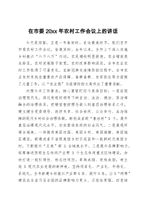 在市委20XX年农村工作会议上的讲话