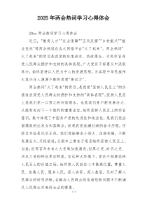 2025年两会热词学习心得体会