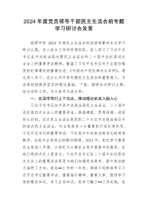 2025年度党员领导干部民主生活会前专题学习研讨会发言