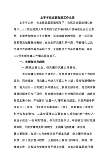 2025上半年党支部党建工作总结(精选六篇)