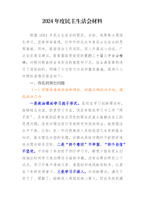 2025年度民主生活会材料