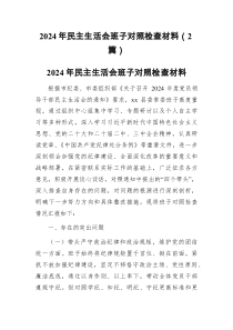 2024年民主生活会班子对照检查材料2篇