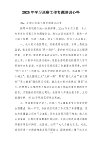 2025年学习巡察工作专题培训心得