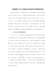 区城管局2025年度民主生活会班子检视剖析材料