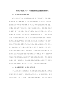 对班子成员2025年度民主生活会的批评意见