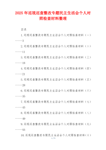 2025年巡视巡查整改专题民主生活会个人对照检查材料整理