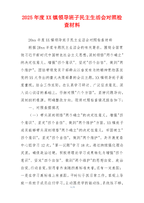 2025年度XX镇领导班子民主生活会对照检查材料