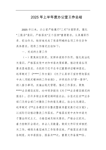 2025年上半年度办公室工作总结