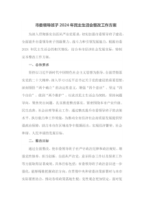 市委领导班子2025年民主生活会整改工作方案