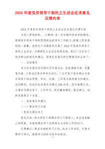 2025年度党员领导干部民主生活会征求意见反馈内容