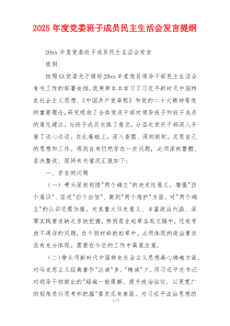 2025年度党委班子成员民主生活会发言提纲