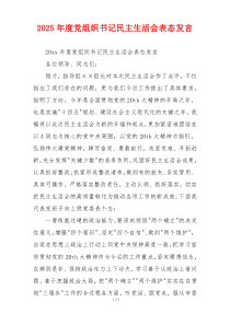 2025年度党组织书记民主生活会表态发言