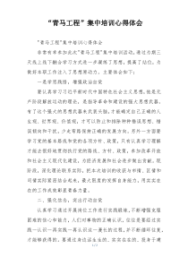 “青马工程”集中培训心得体会