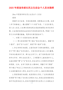 2025年度宣传部长民主生活会个人发言提纲