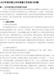 2025年党支部上半年党建工作总结(精选9篇通用)