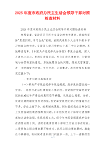 2025年度市政府办民主生活会领导干部对照检查材料