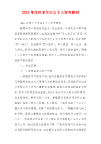 2025年度民主生活会个人发言提纲