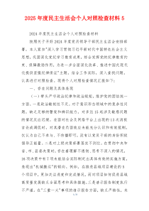 2025年度民主生活会个人对照检查材料5