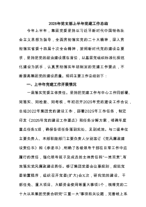 2025年党支部上半年党建工作总结（精选7篇）